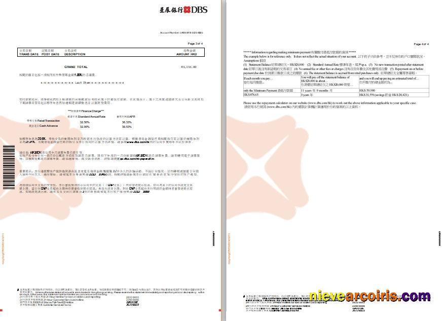 Hong Kong DBS Black World MasterCard eStatement 3-4